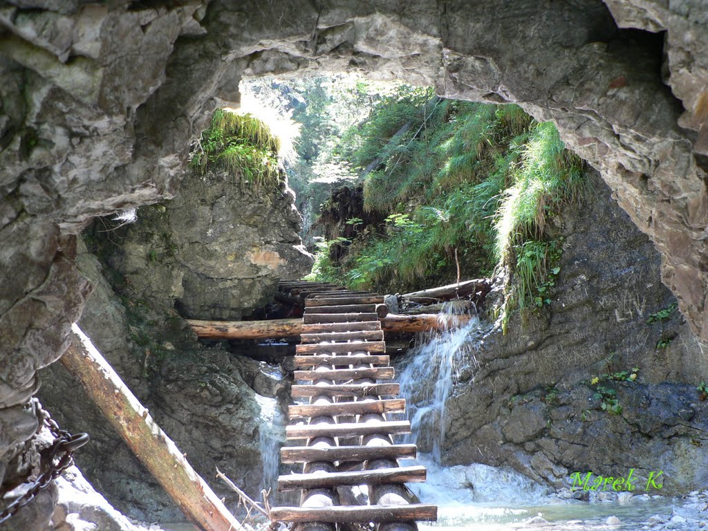 44892621