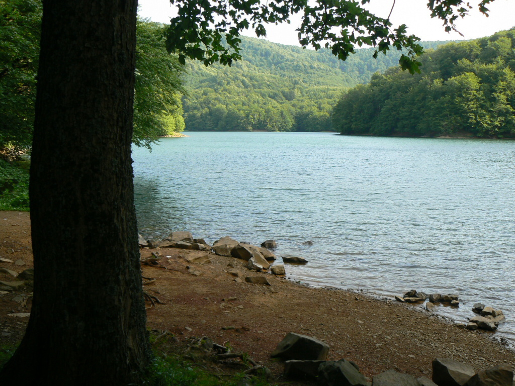 P1070052